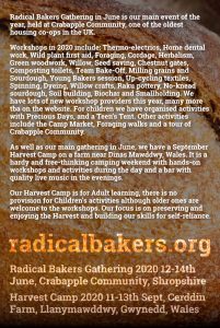 radical bakers 2020 flyer back